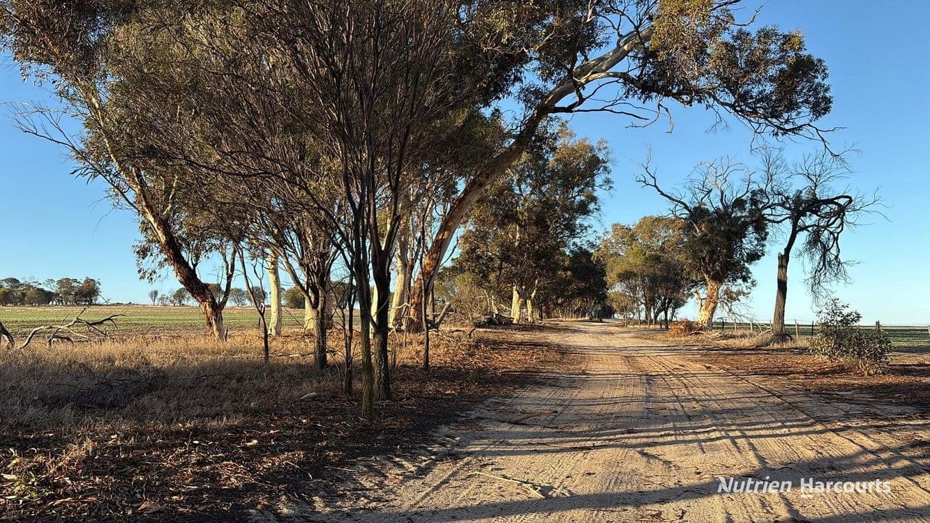 1368 Yilliminning Road, BOUNDAIN, WA 6312, Boundain - Thumbnail 2