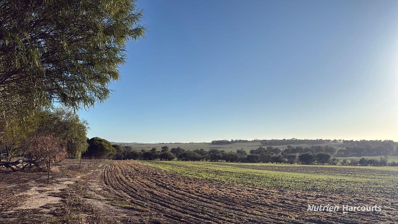 1368 Yilliminning Road, BOUNDAIN, WA 6312, Boundain - Thumbnail 6