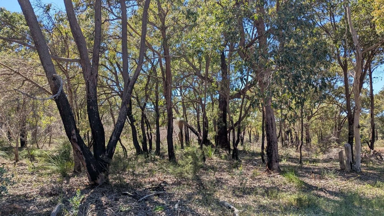 Lot 10 Jenkins Road, BULLSBROOK, WA 6084, Bullsbrook - Thumbnail 4