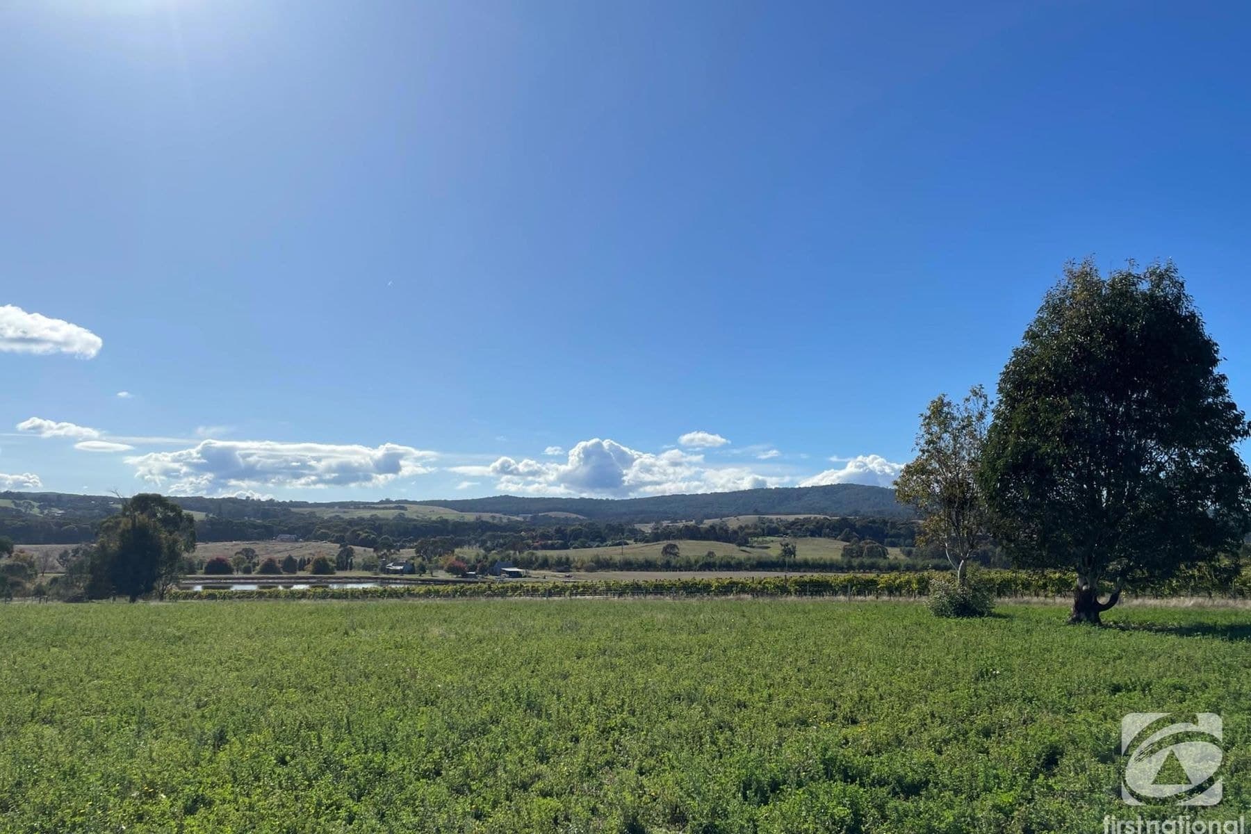 147 Lawrie Road, Beechworth VIC 3747, Beechworth - Thumbnail 4
