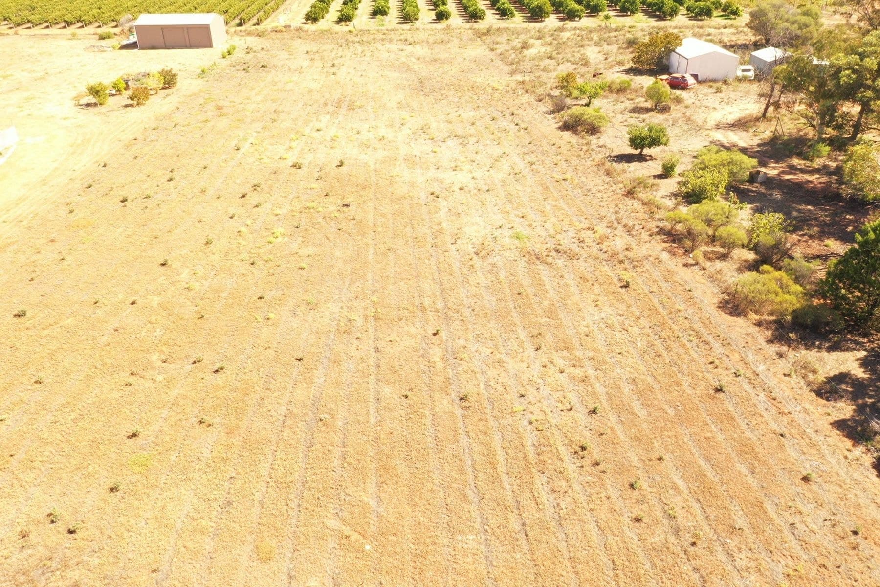 Lot 122 Pope Road, Waikerie SA 5330, Waikerie - Image 1