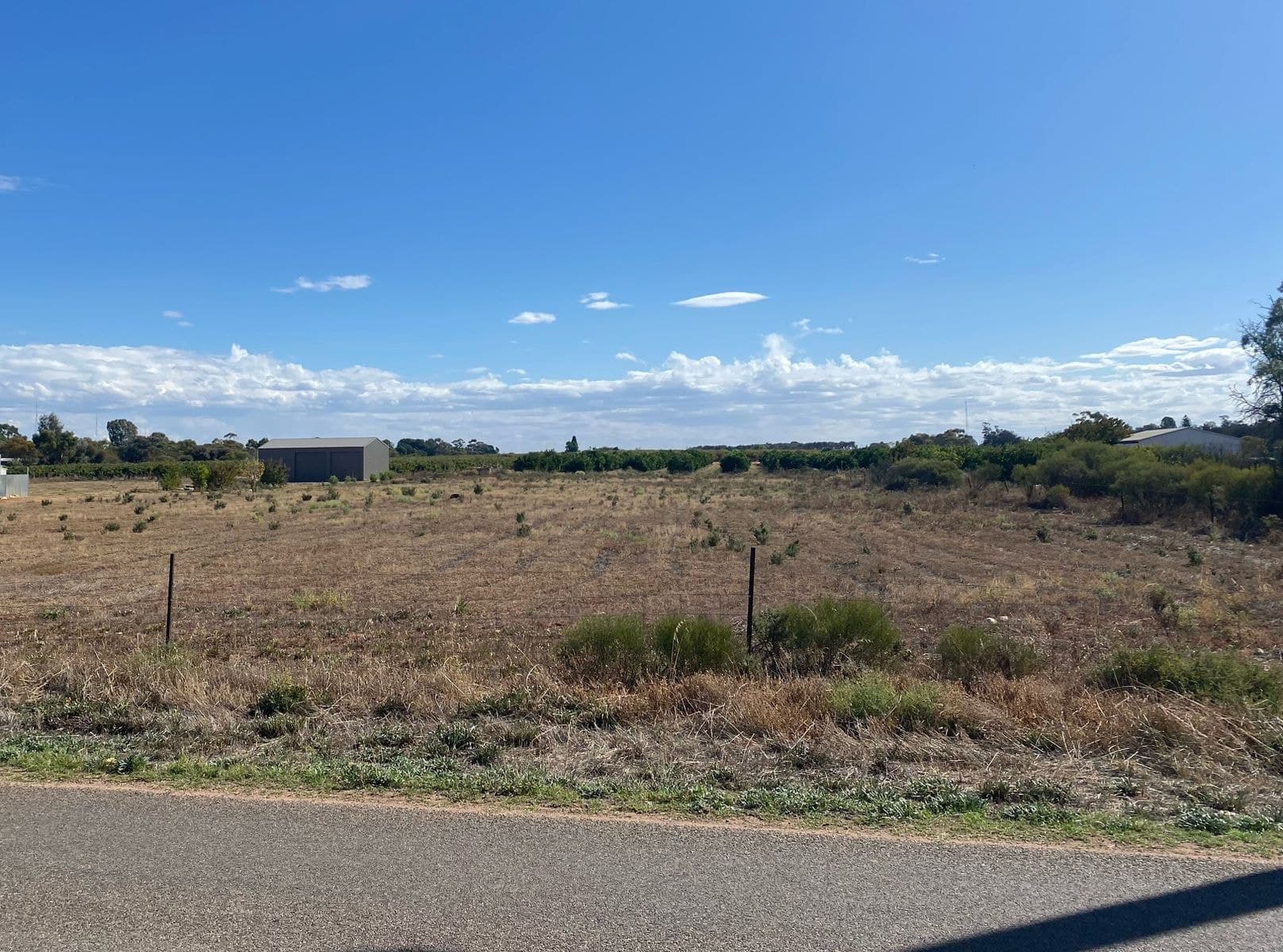 Lot 122 Pope Road, Waikerie SA 5330, Waikerie - Thumbnail 2