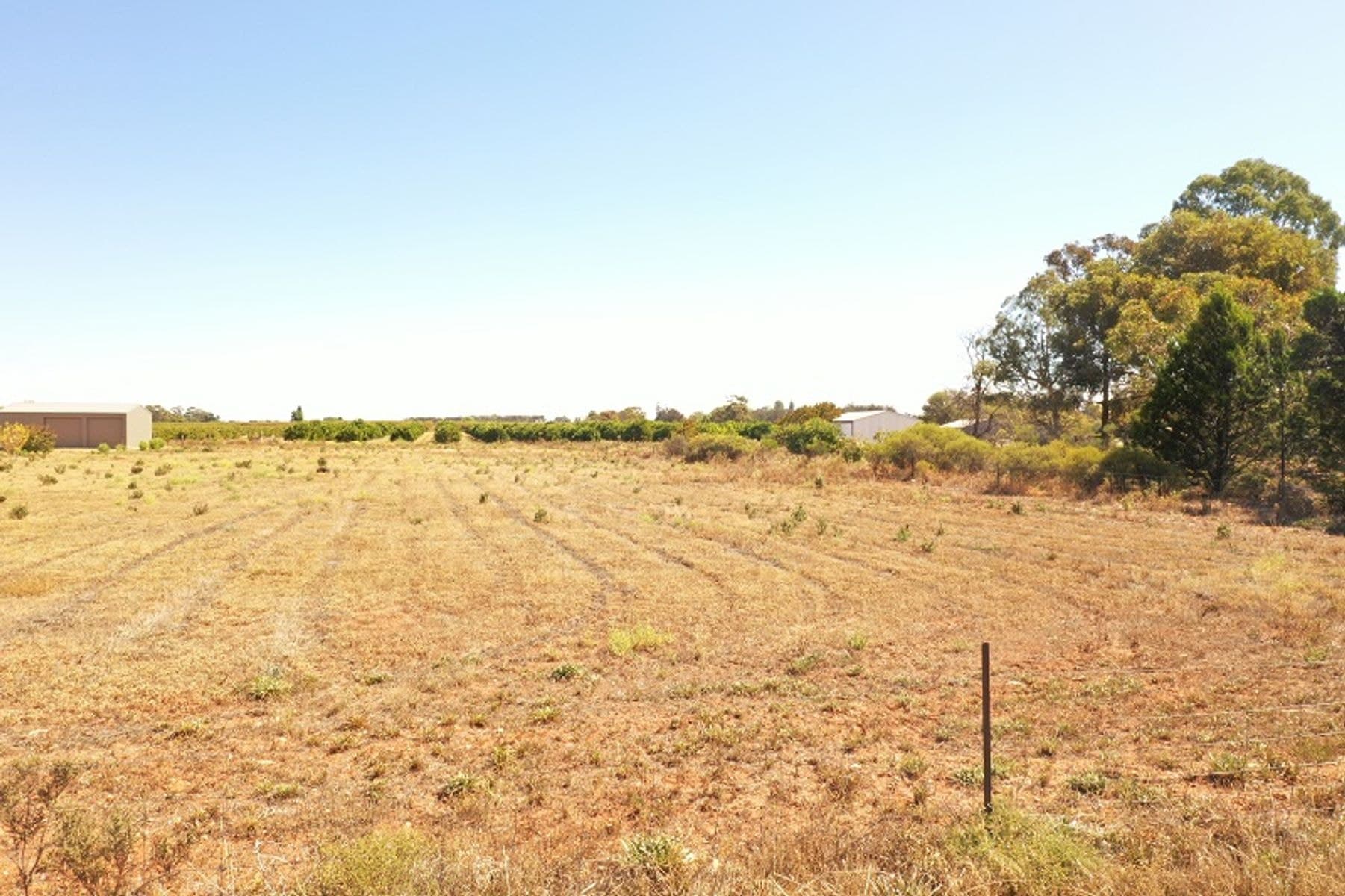 Lot 122 Pope Road, Waikerie SA 5330, Waikerie - Thumbnail 3