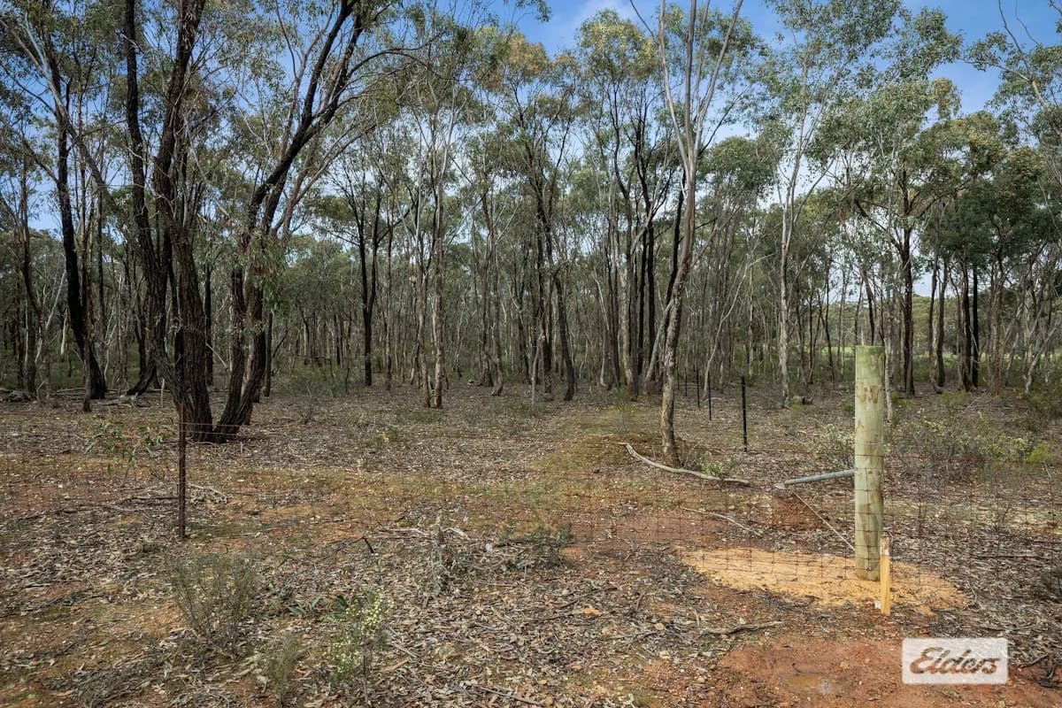 52C,D&F/Landry Road, Lockwood, VIC, 3551, D&F/Landry Road - Thumbnail 8