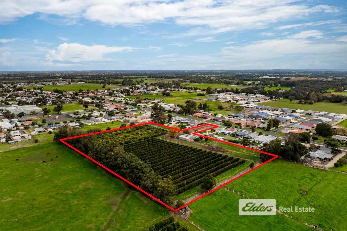 56 Third Street, Harvey, WA, 6220, Harvey - Thumbnail 4