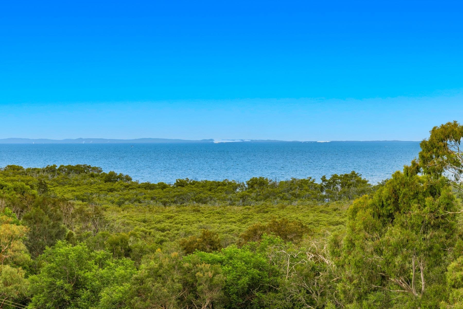 8/347 Main Road, Wellington Point QLD 4160, Wellington Point - Image 1
