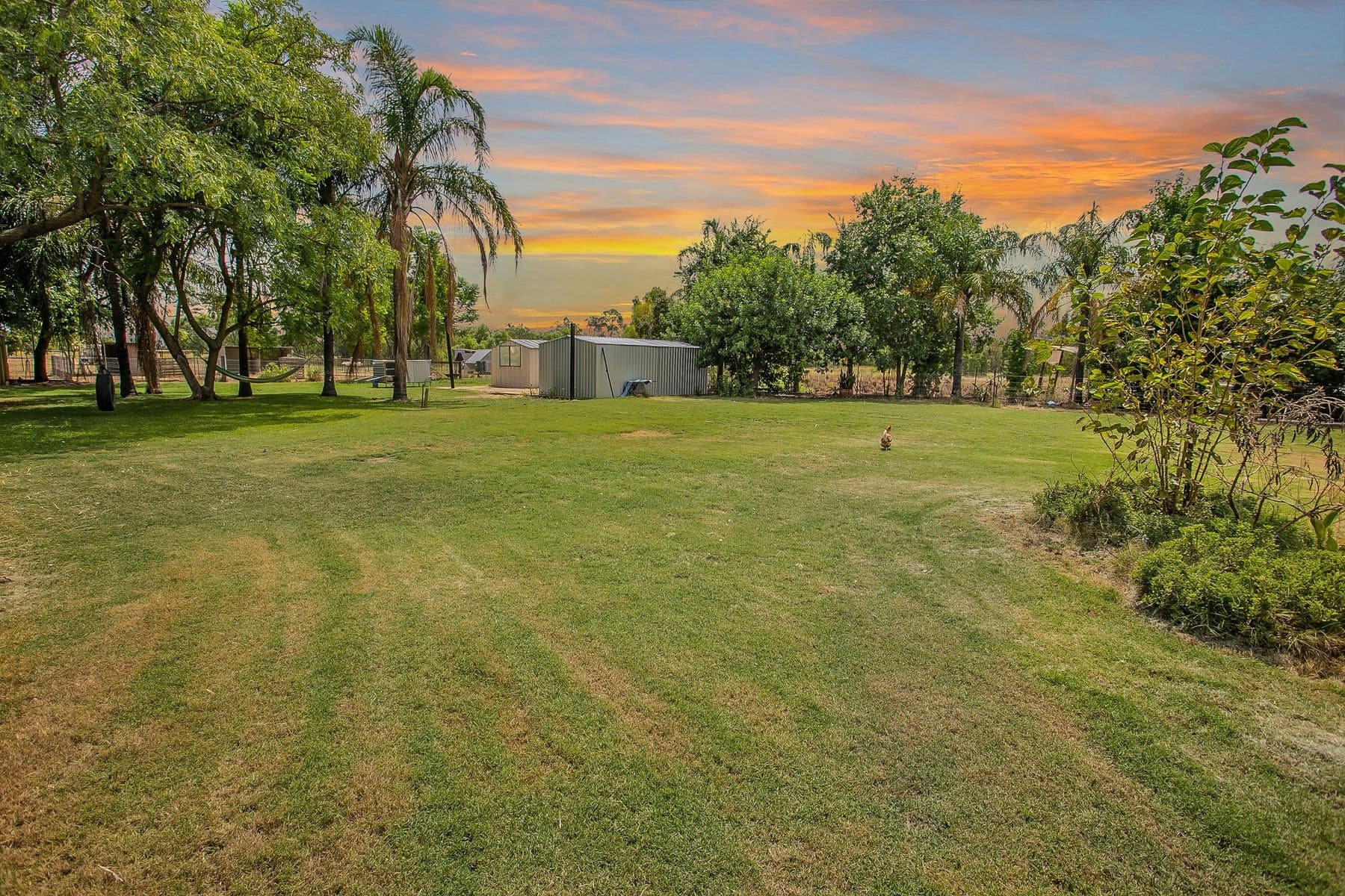 24 Hunter Road, Chinchilla QLD 4413, Chinchilla - Thumbnail 2