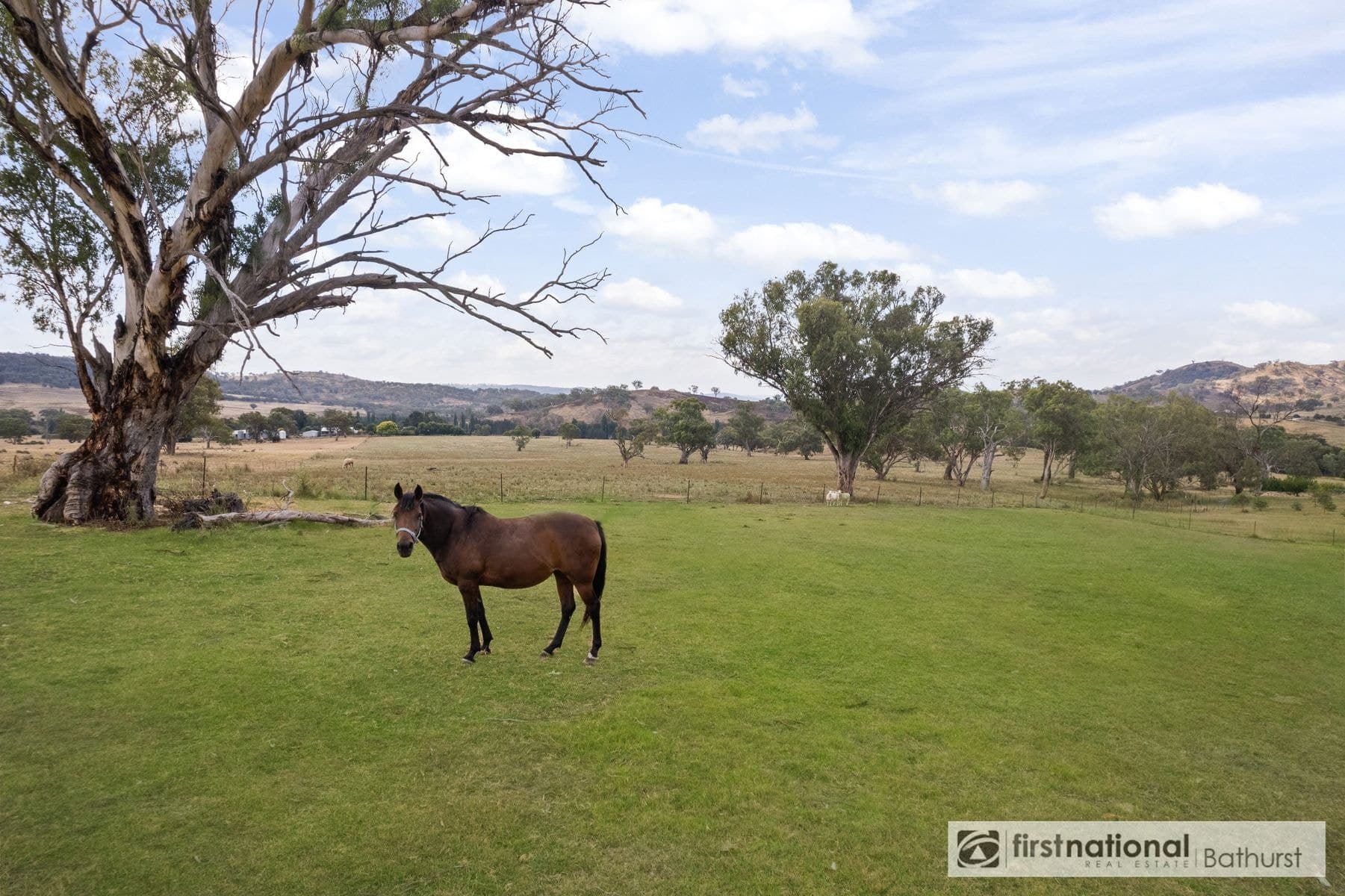 87 Church Street, Peel NSW 2795, Peel - Thumbnail 5