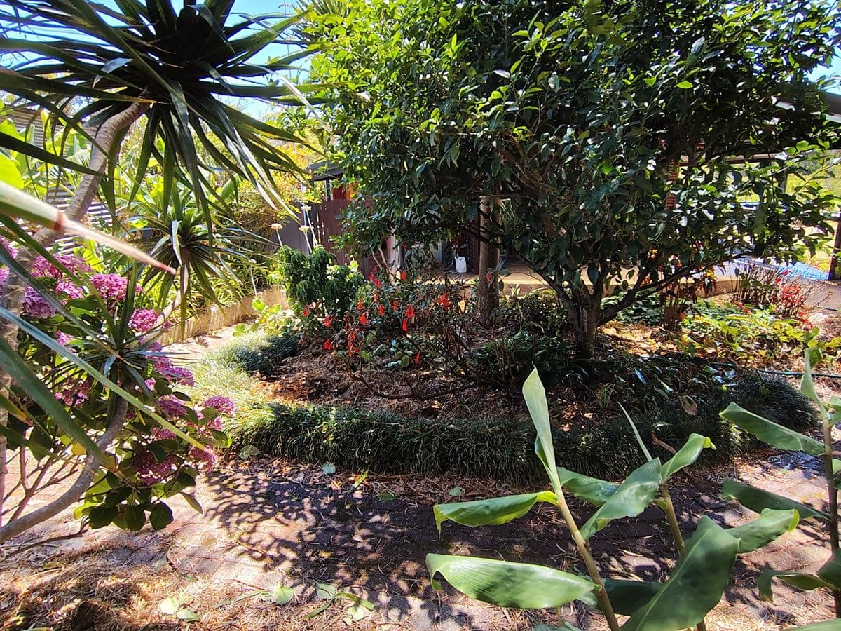 Lot 1401, 6405 South Coast Highw..., Nornalup - Thumbnail 4