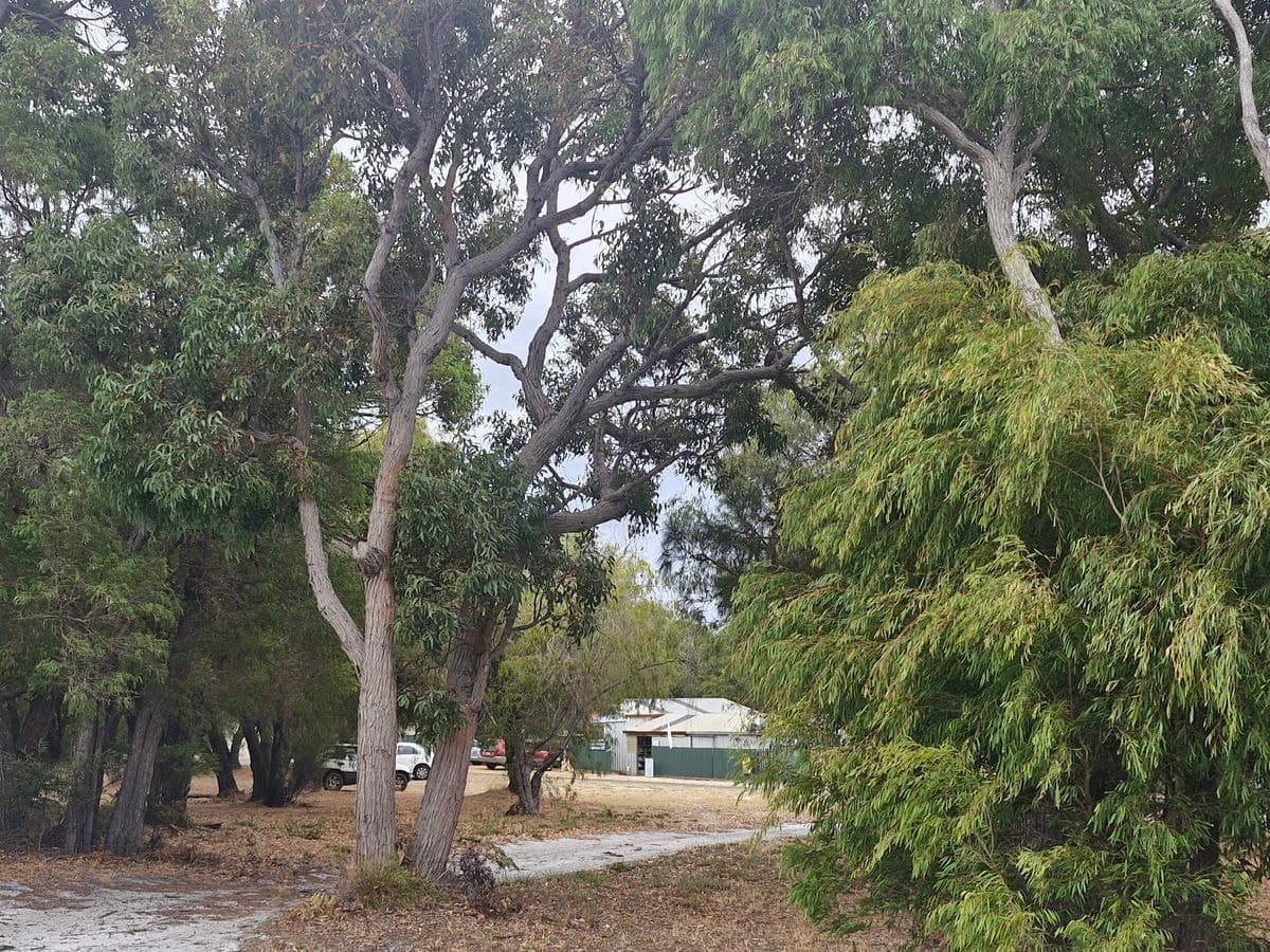 10 Latham Avenue, Walpole, Walpole - Image 1