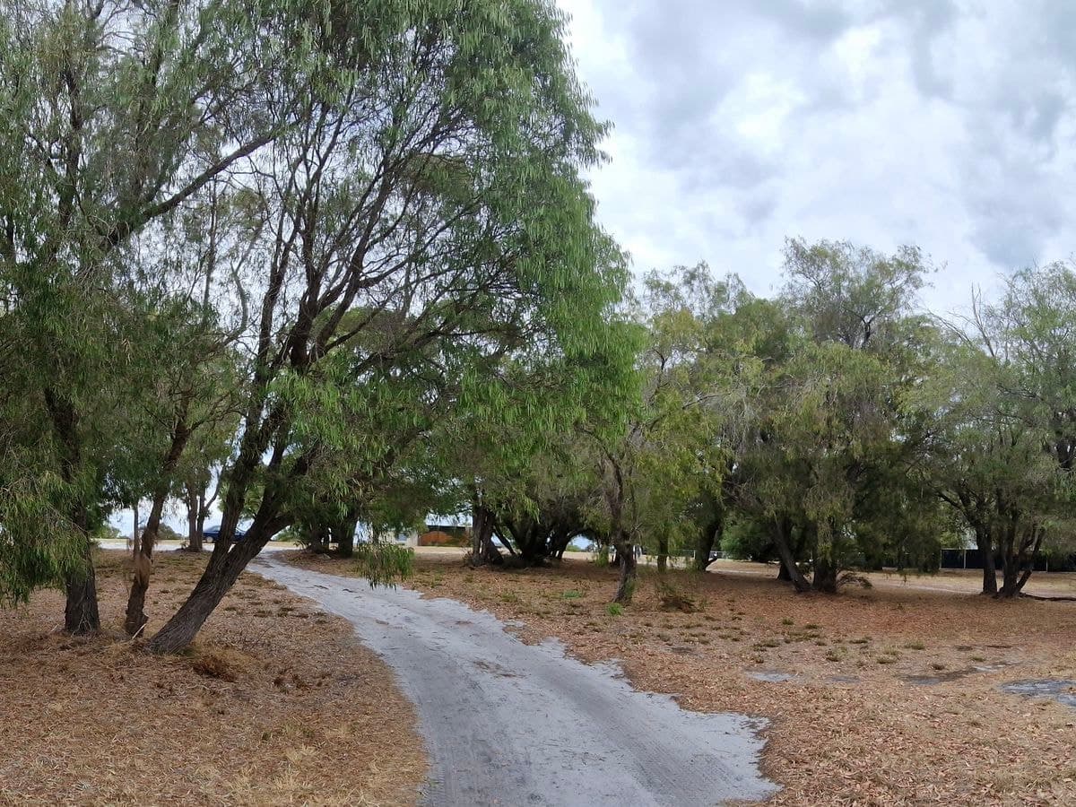 10 Latham Avenue, Walpole, Walpole - Thumbnail 2