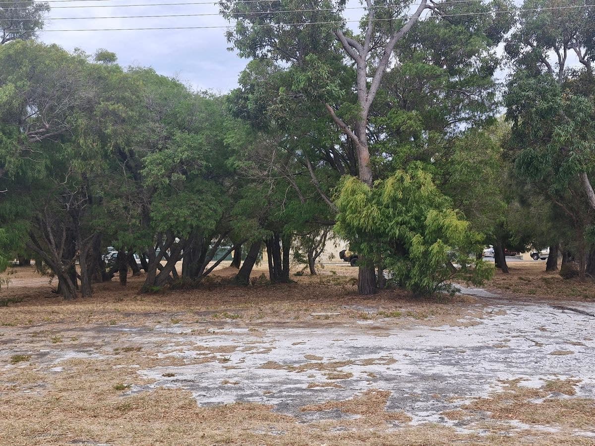 10 Latham Avenue, Walpole, Walpole - Thumbnail 4
