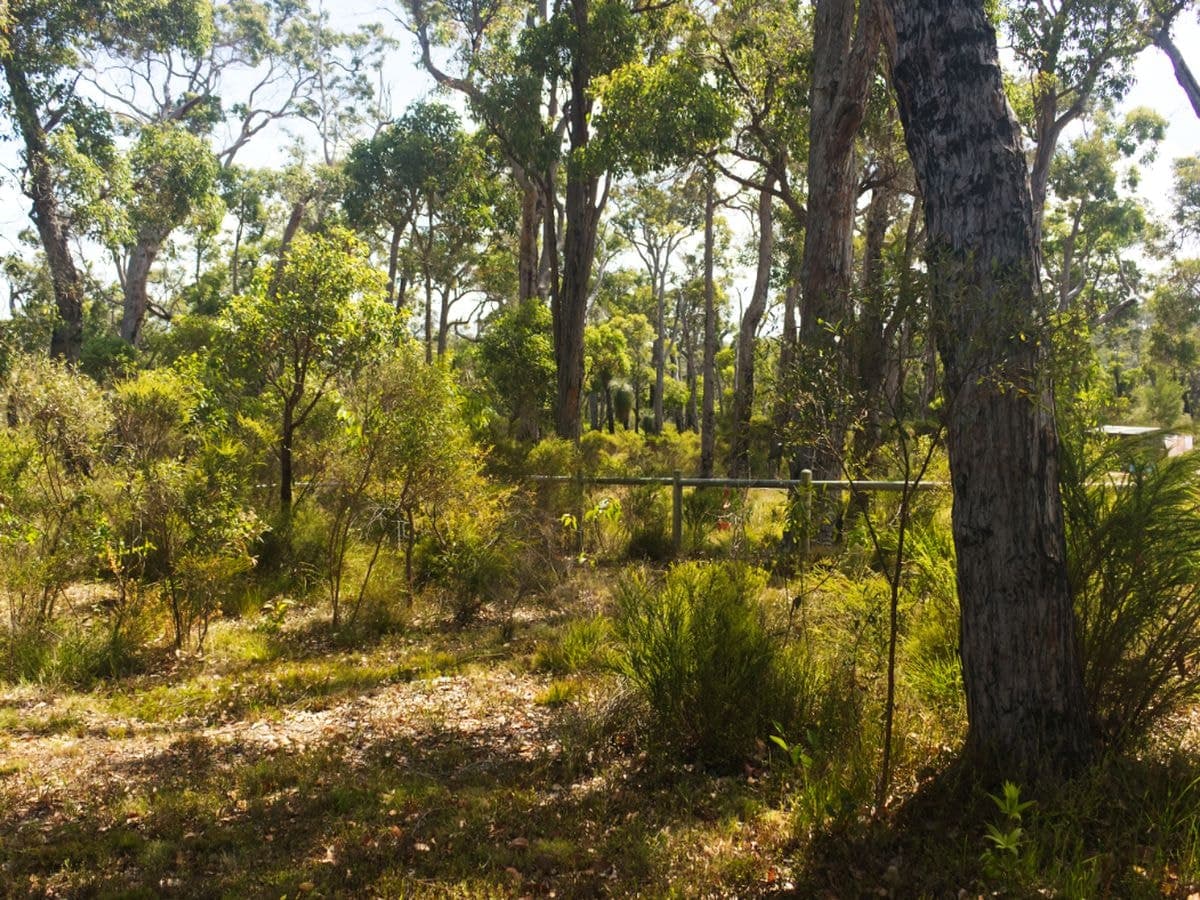 80 Karri Street, Walpole, Walpole - Thumbnail 2