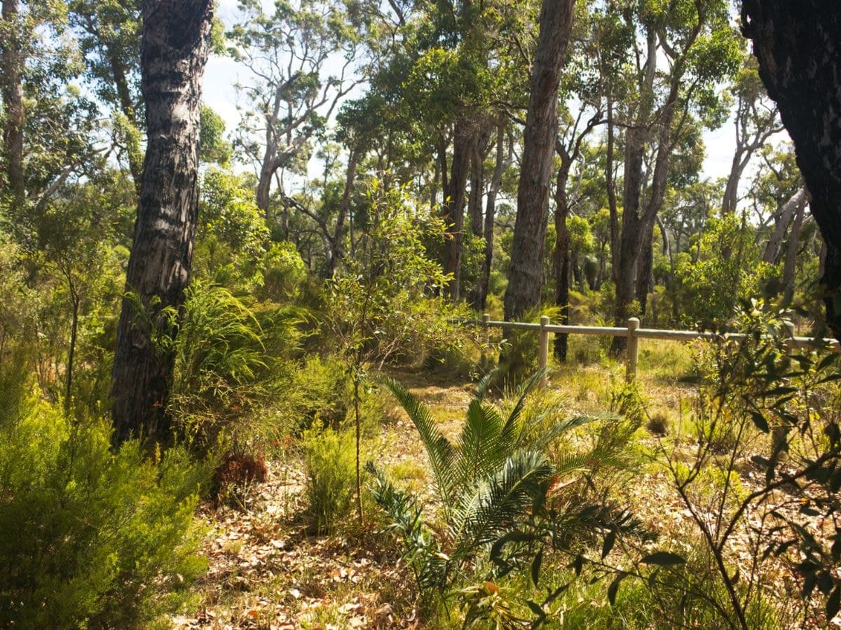 80 Karri Street, Walpole, Walpole - Thumbnail 3