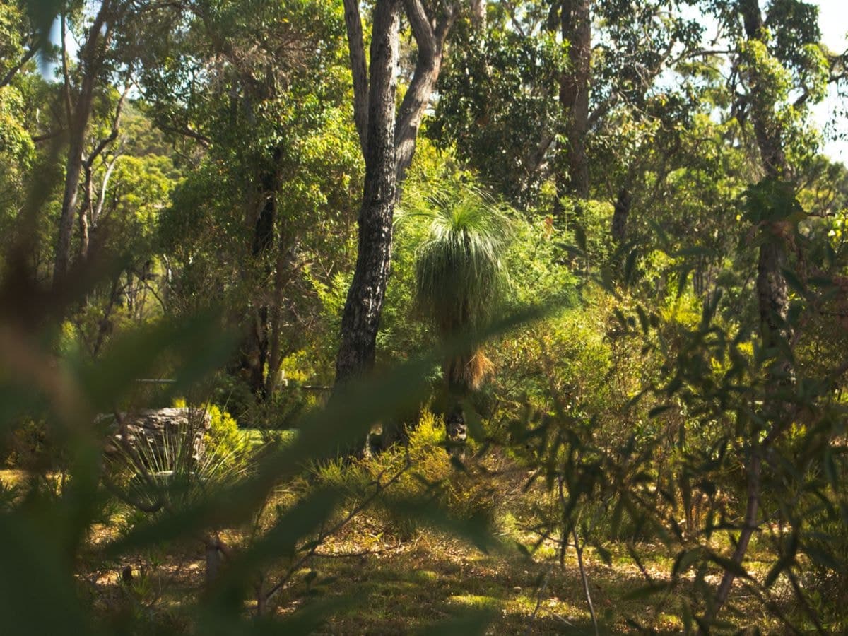 80 Karri Street, Walpole, Walpole - Thumbnail 6