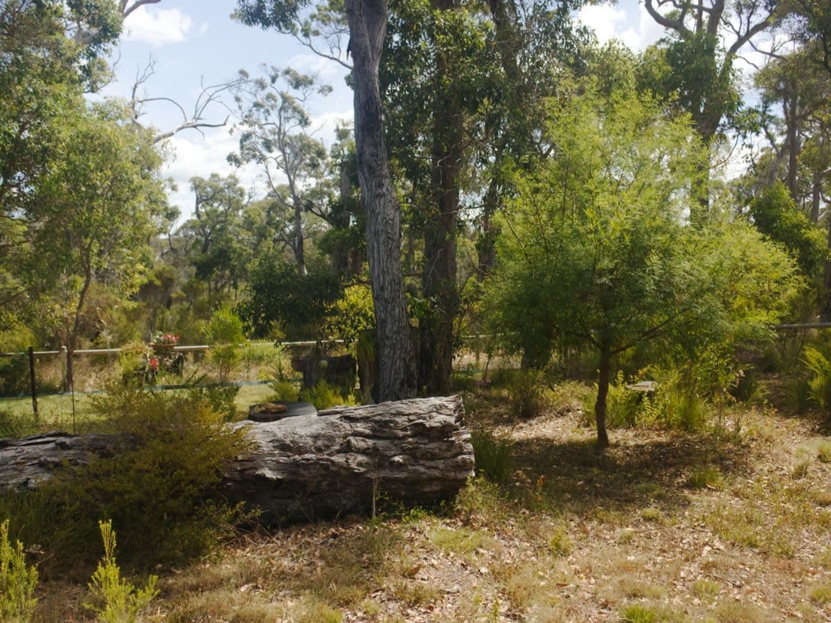 80 Karri Street, Walpole, Walpole - Thumbnail 7