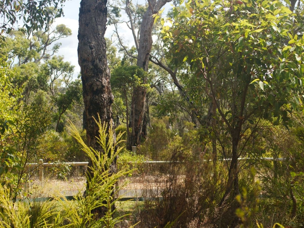 80 Karri Street, Walpole, Walpole - Thumbnail 8
