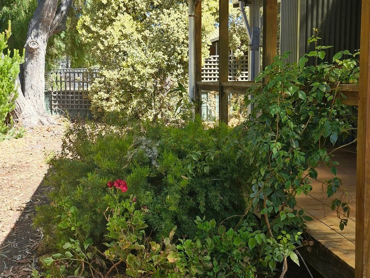 6 Jarrah Road, Walpole, Walpole - Thumbnail 6