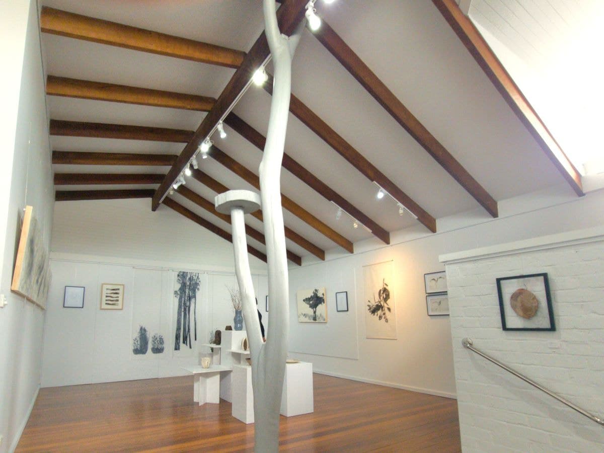 8 Nockolds Street, Walpole, Walpole - Thumbnail 7