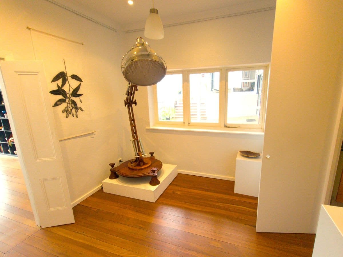 8 Nockolds Street, Walpole, Walpole - Thumbnail 8