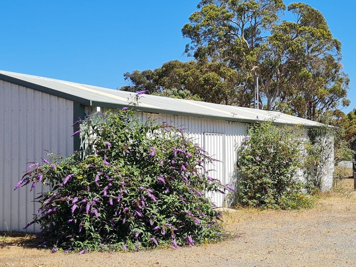 57 Hassell Avenue, Kendenup, Kendenup - Thumbnail 3