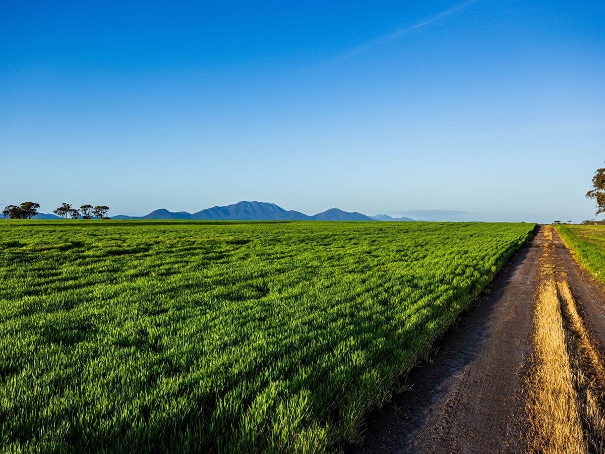 340 View Range Road, Kendenup, Kendenup - Thumbnail 2