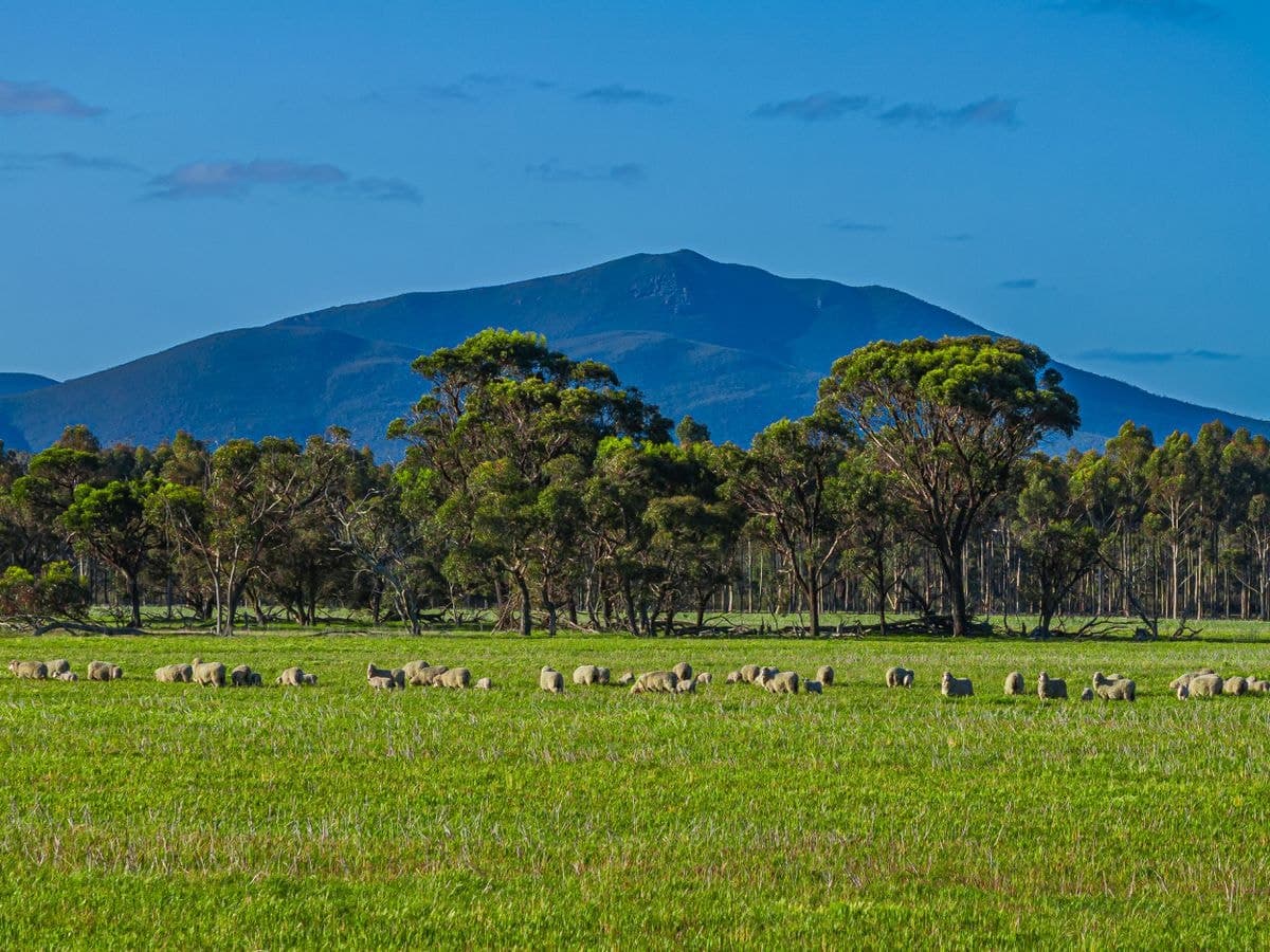 712 View Range Road, Kendenup, Kendenup - Thumbnail 2