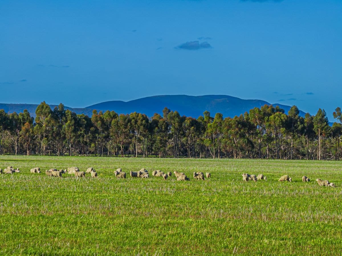 712 View Range Road, Kendenup, Kendenup - Thumbnail 4