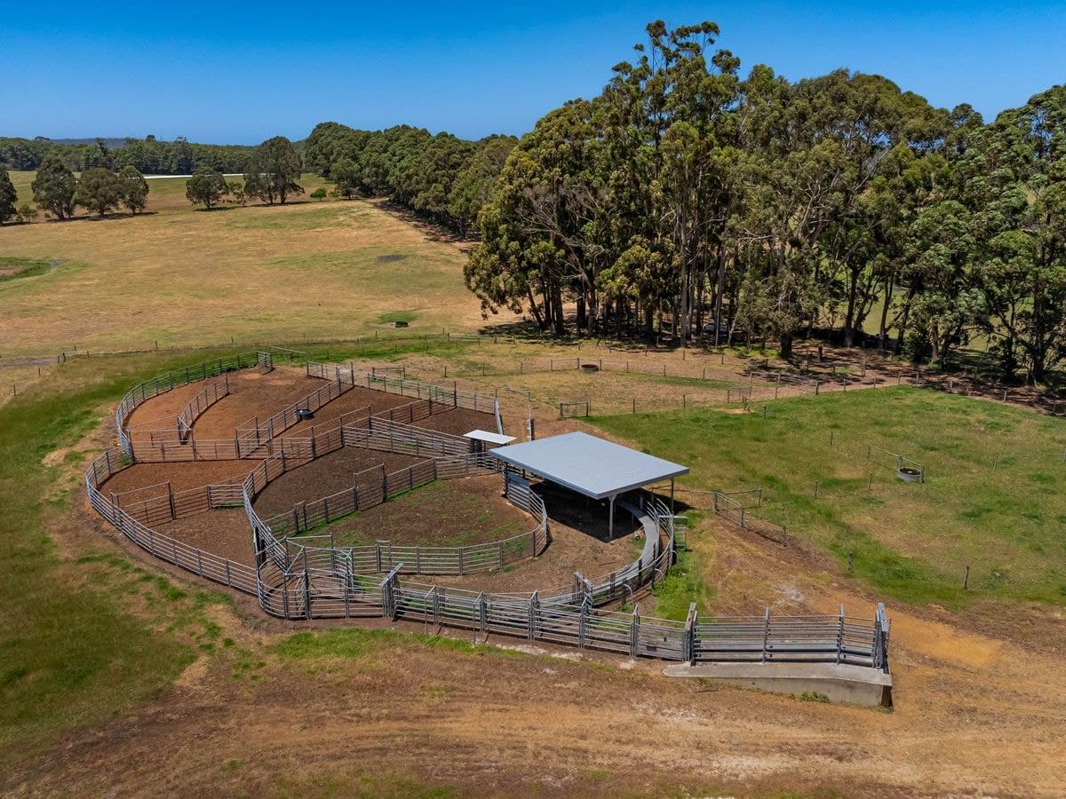 203 Clarke Road, North Walpole, North Walpole - Thumbnail 6