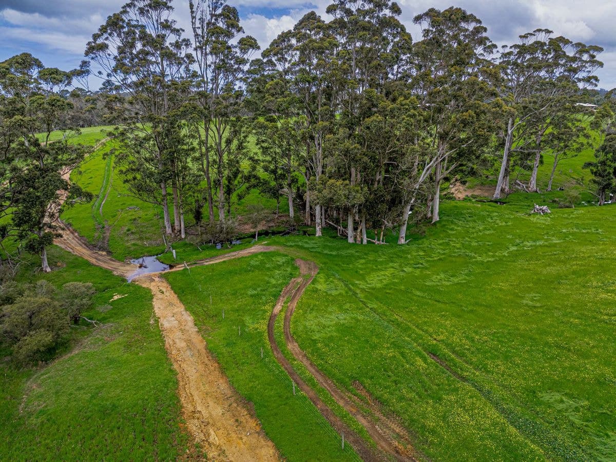 114 Walter Pierce Road, Hazelvale, Hazelvale - Thumbnail 3