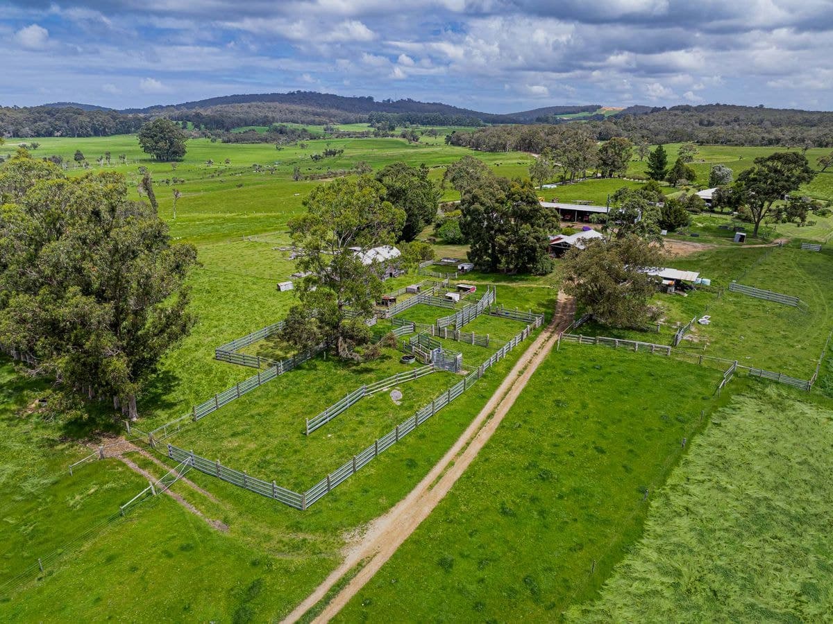 114 Walter Pierce Road, Hazelvale, Hazelvale - Thumbnail 7