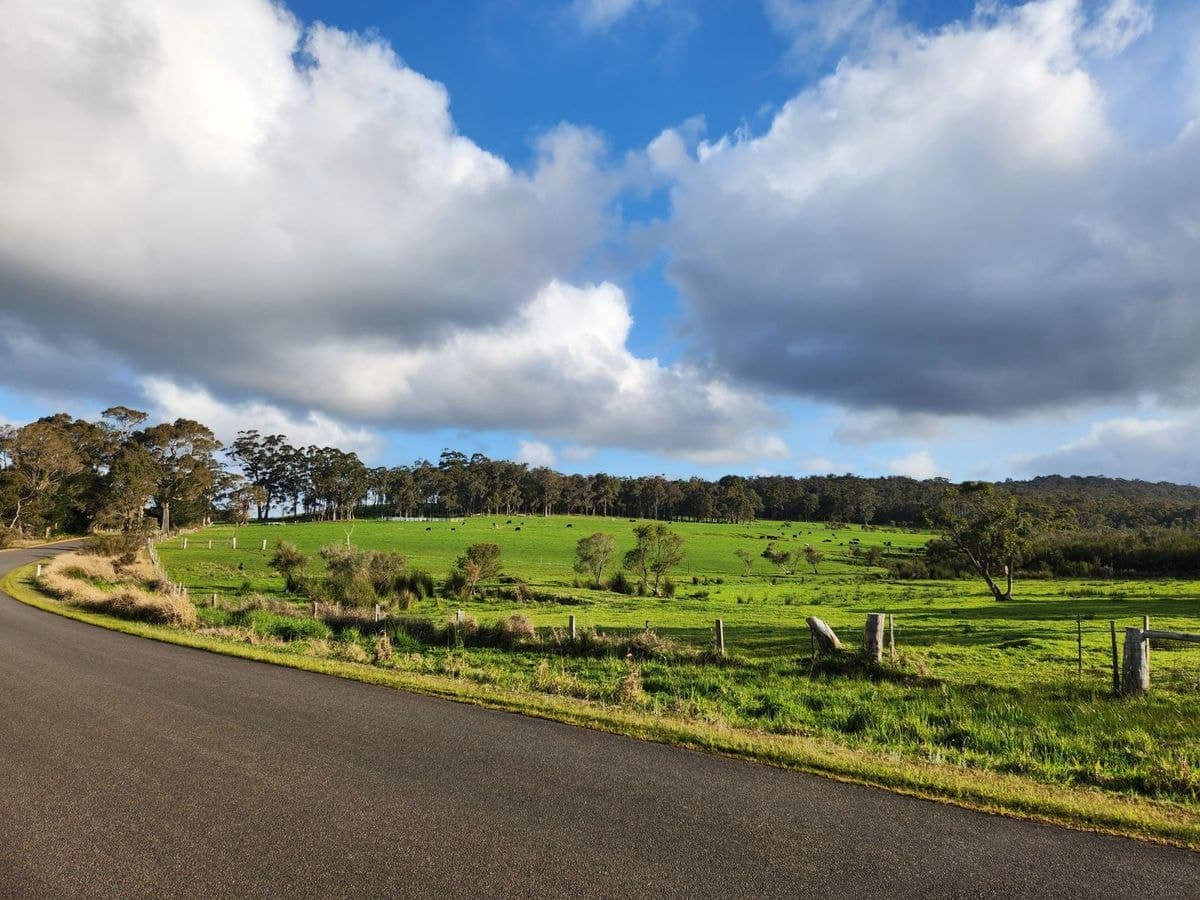 577 Hazelvale Road, Hazelvale, Hazelvale - Image 1