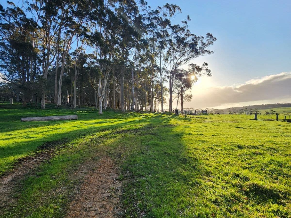 577 Hazelvale Road, Hazelvale, Hazelvale - Thumbnail 2