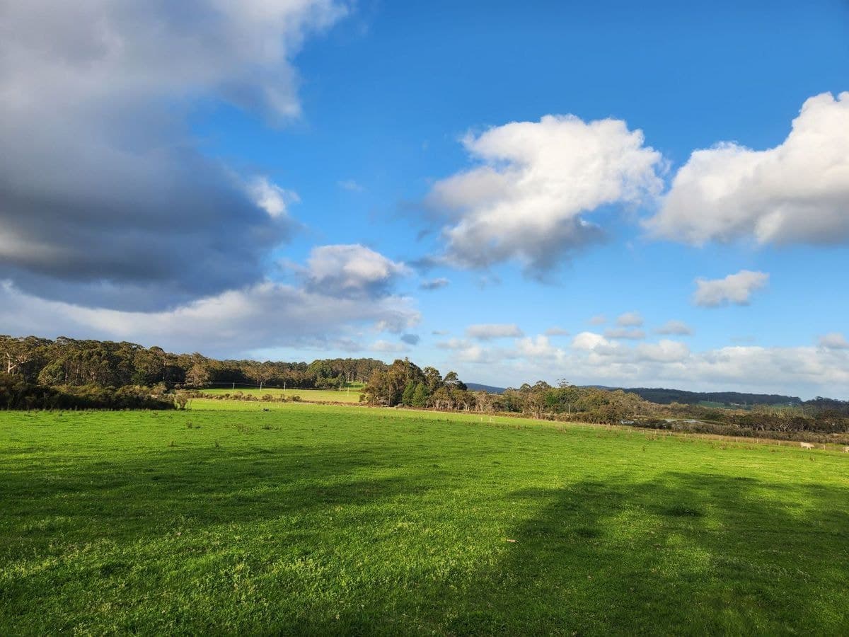 577 Hazelvale Road, Hazelvale, Hazelvale - Thumbnail 3