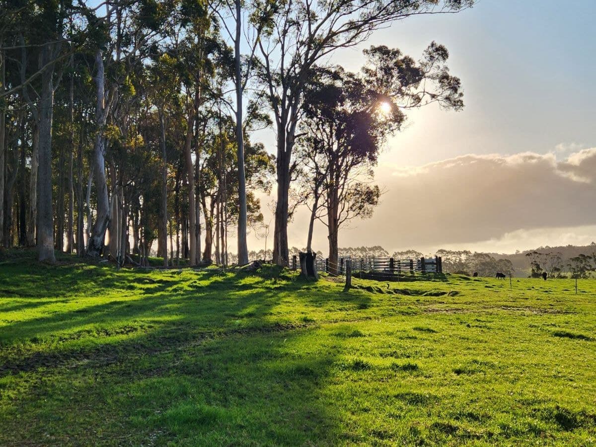 577 Hazelvale Road, Hazelvale, Hazelvale - Thumbnail 4