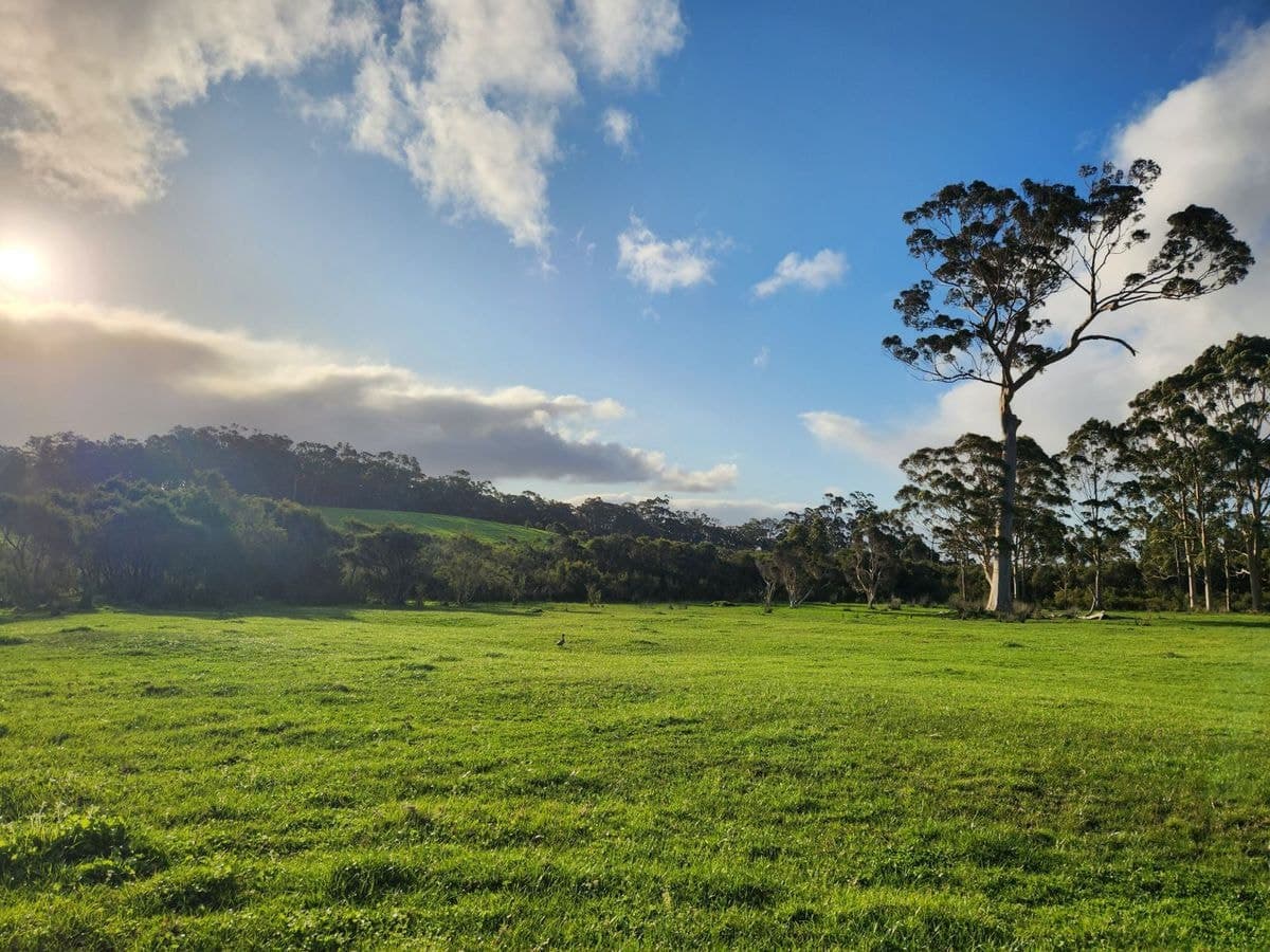 577 Hazelvale Road, Hazelvale, Hazelvale - Thumbnail 5