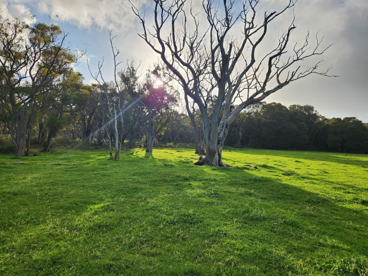 577 Hazelvale Road, Hazelvale, Hazelvale - Thumbnail 6