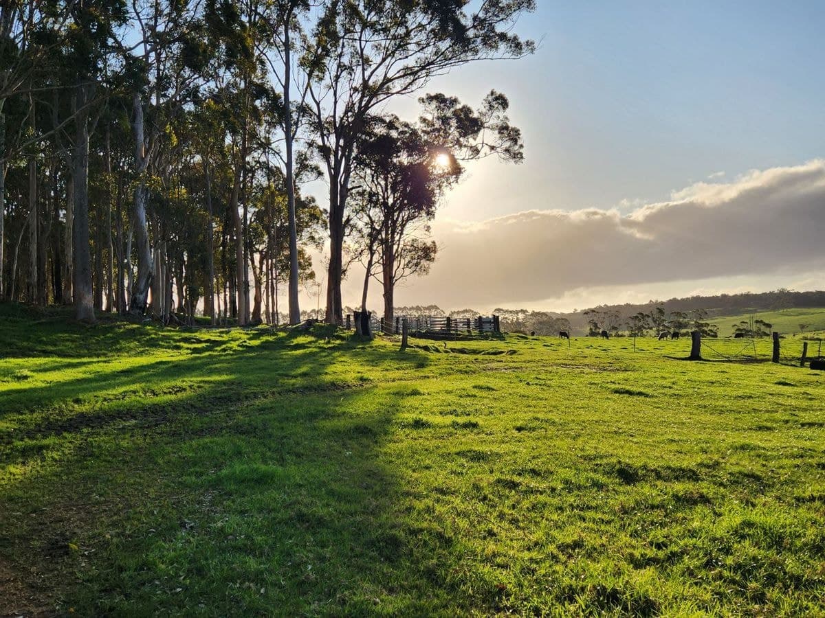 577 Hazelvale Road, Hazelvale, Hazelvale - Thumbnail 7