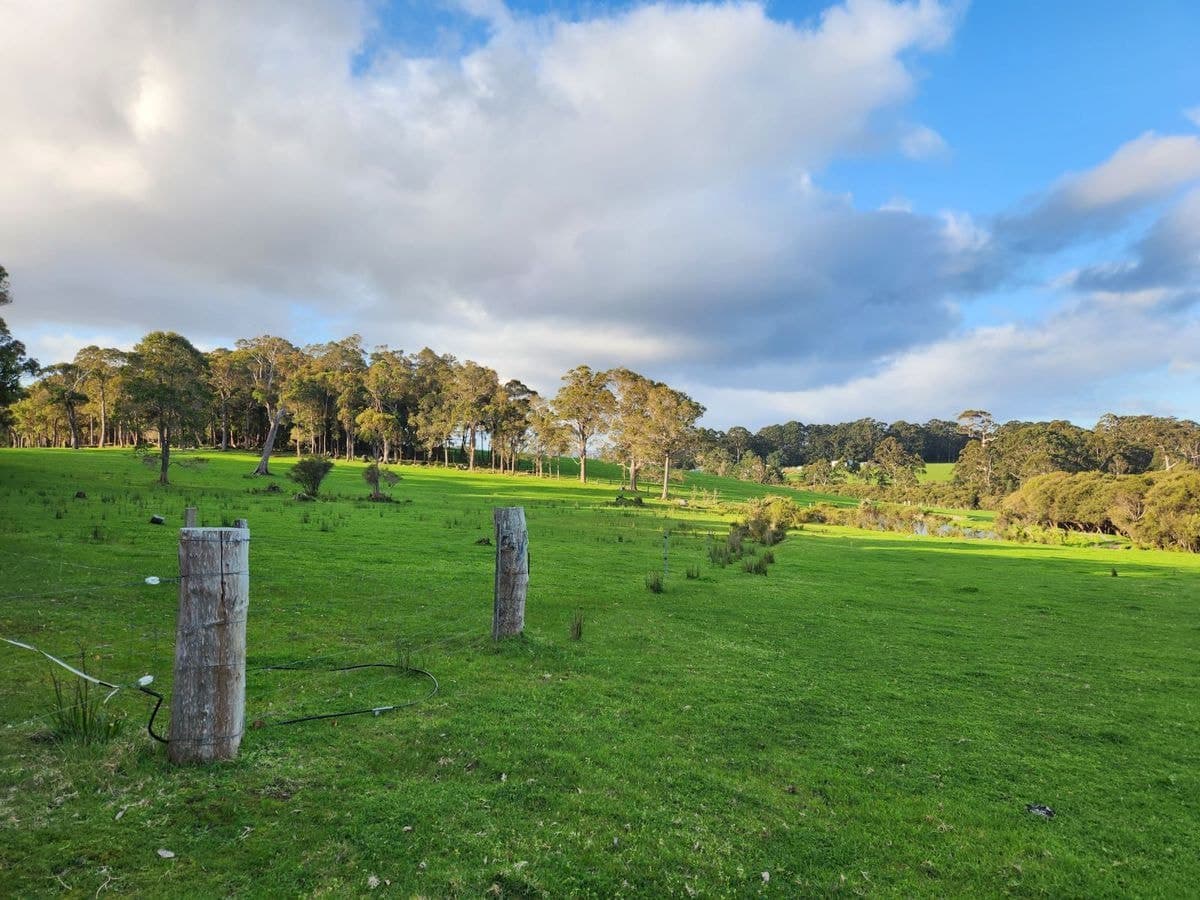 577 Hazelvale Road, Hazelvale, Hazelvale - Thumbnail 8