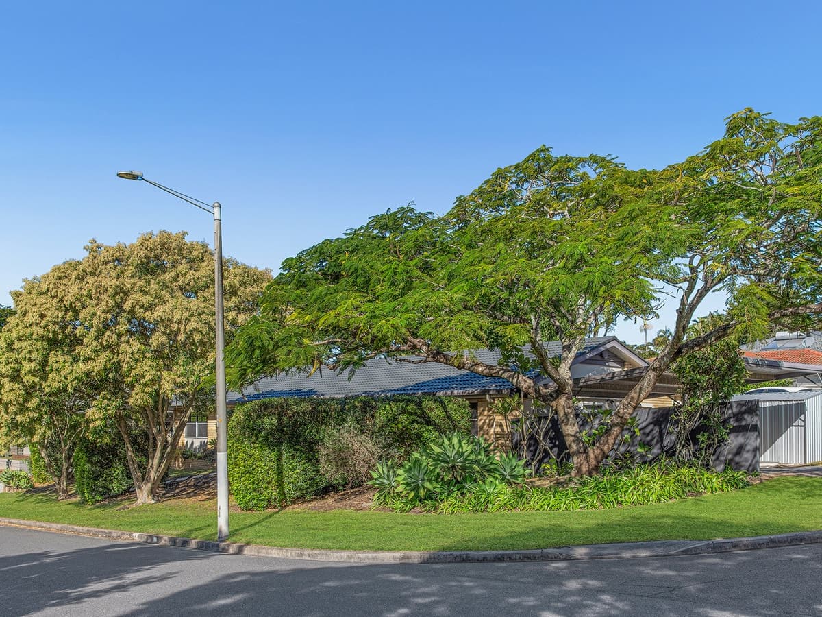 38 Woggle Street, Jamboree Heights QLD 4074, Jamboree Heights - Thumbnail 3