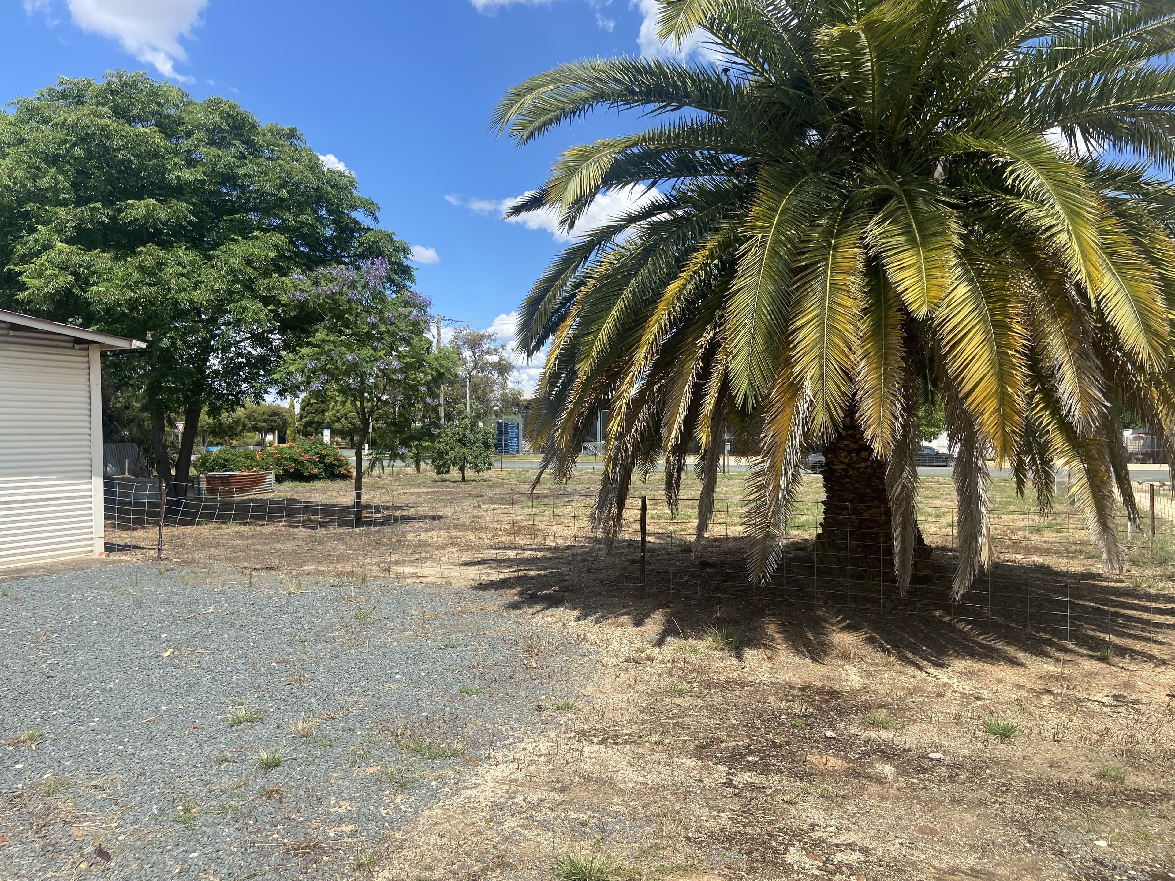 1 Osborne St, Urana, Urana - Thumbnail 3