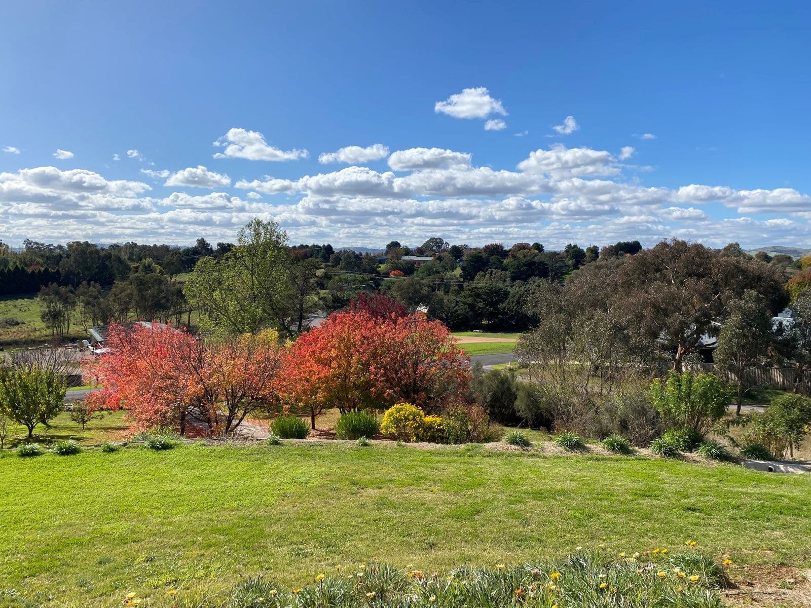 176 Rossi Street, Yass NSW 2582, Yass - Thumbnail 2