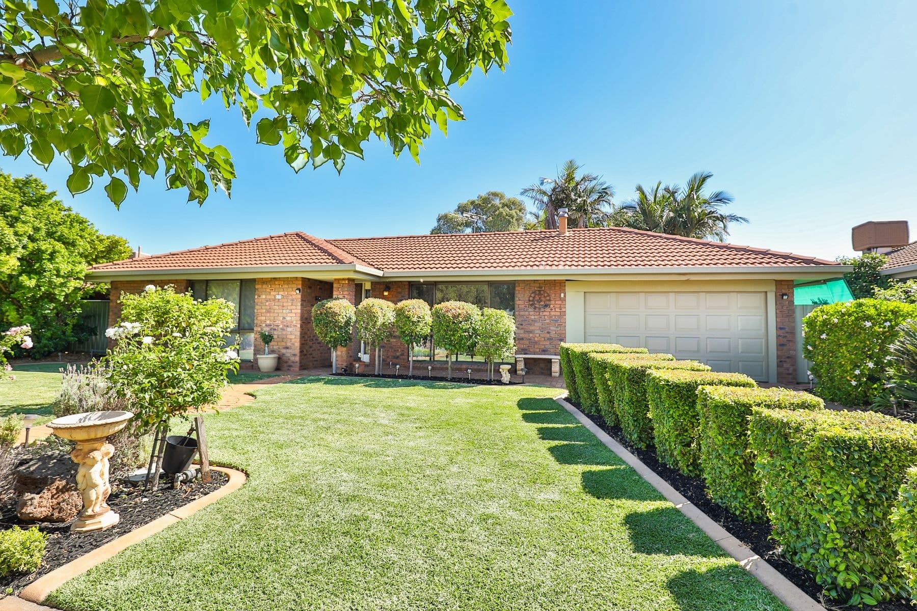 7 Johnson Drive, Irymple VIC 3498, Irymple - Image 1