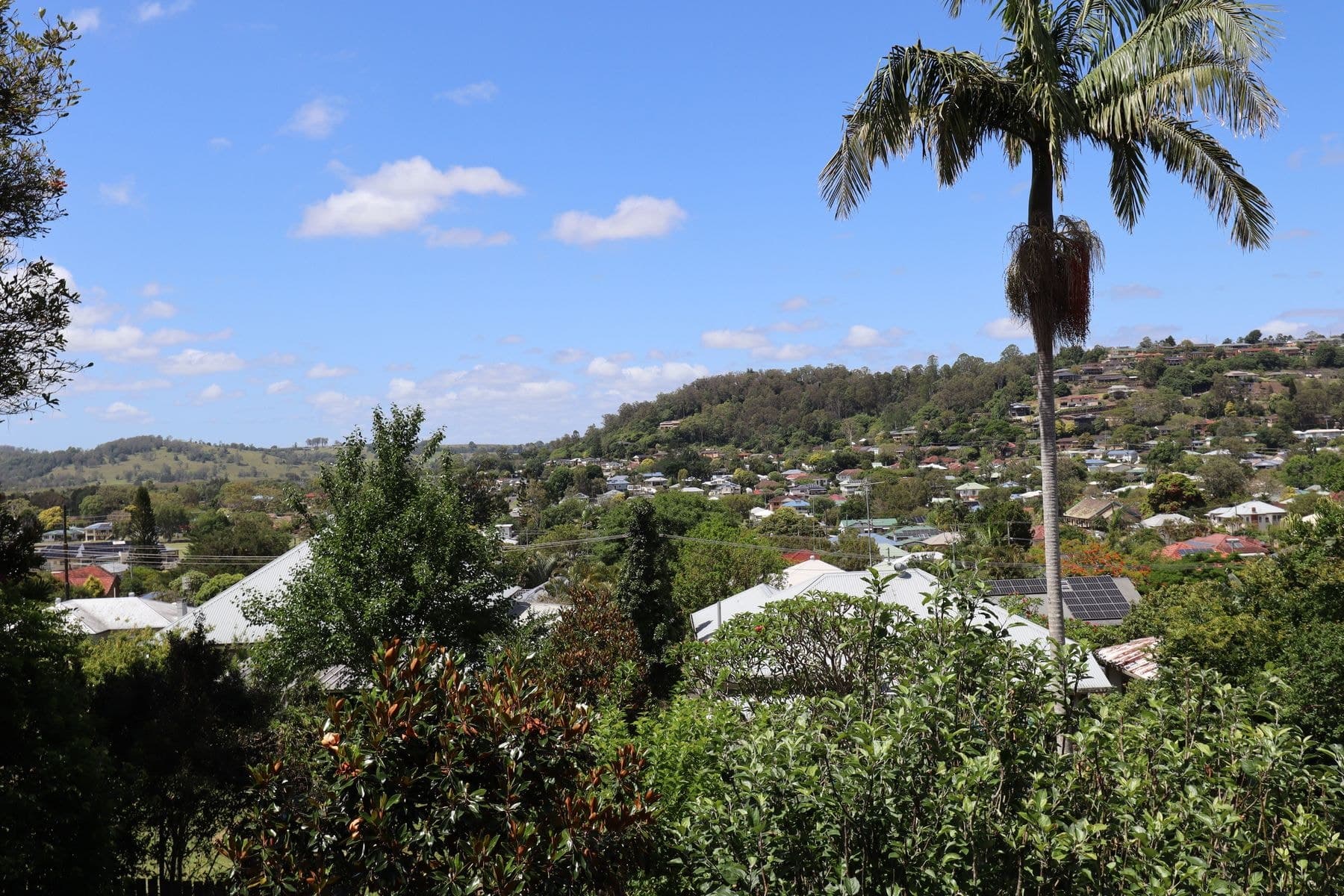 25 Jacaranda Avenue, East Lismore NSW 2480, East Lismore - Thumbnail 4