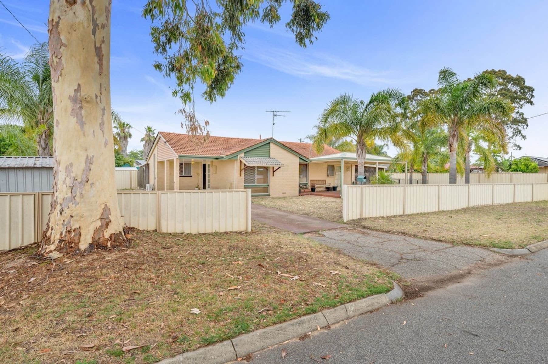 6 Jacksonia Place, Pinjarra WA 6208, Pinjarra - Thumbnail 3