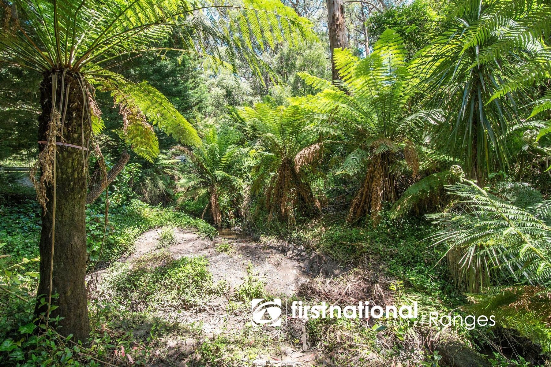 103 Belgrave-Gembrook Road, Selby VIC 3159, Selby - Thumbnail 4