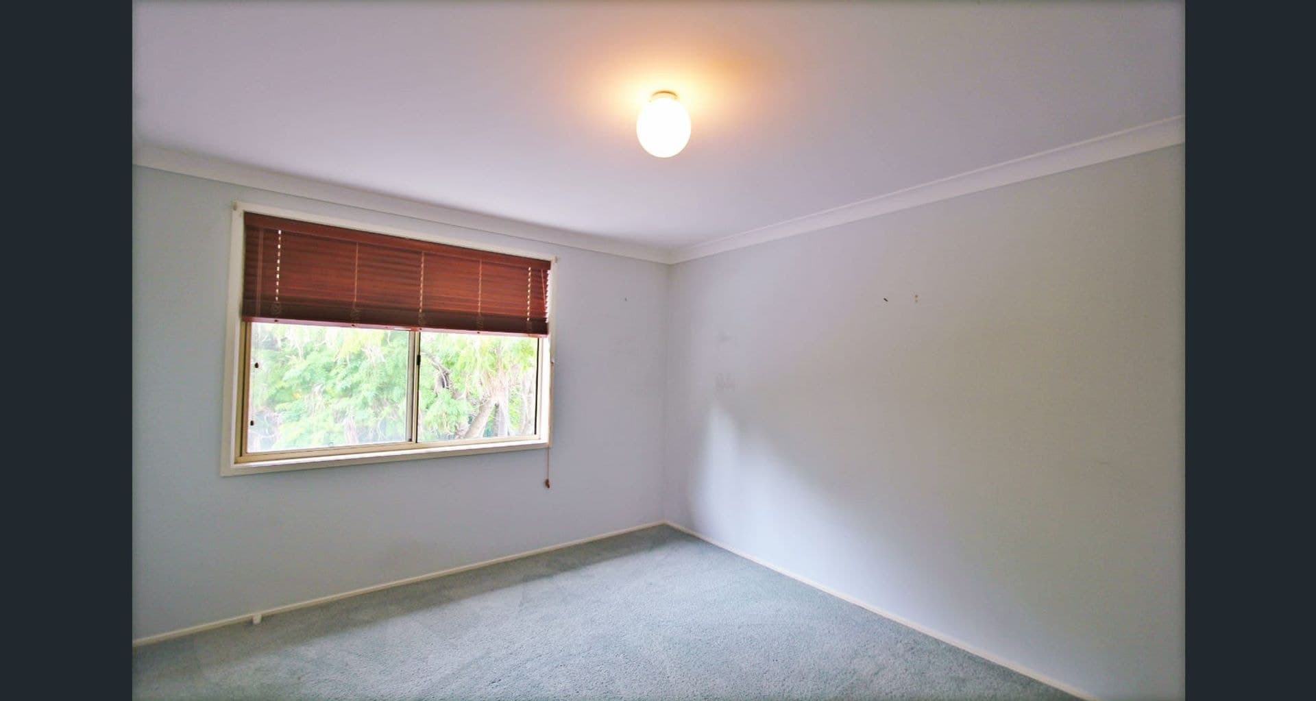 149 Carrington Avenue, Hurstville, NSW, 2220, Hurstville - Thumbnail 4