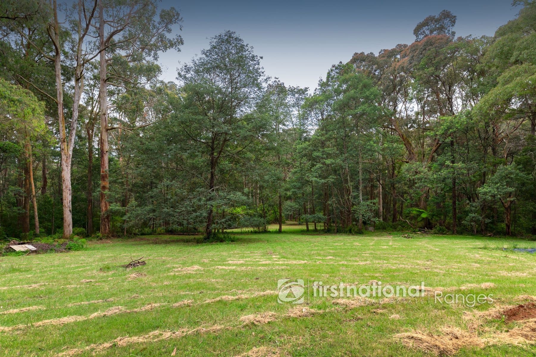 28 Morbey Road, Gembrook VIC 3783, Gembrook - Thumbnail 3
