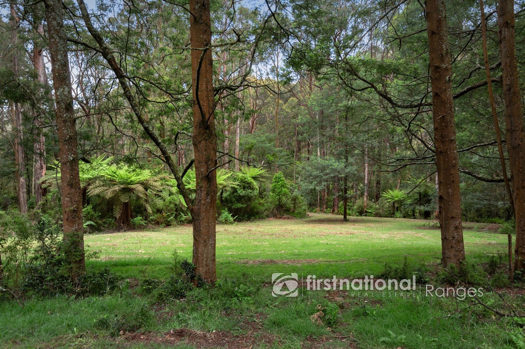 28 Morbey Road, Gembrook VIC 3783, Gembrook - Thumbnail 5