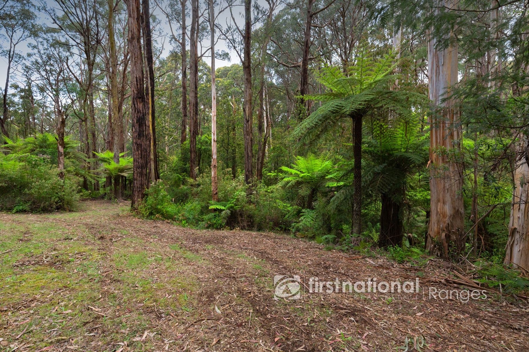28 Morbey Road, Gembrook VIC 3783, Gembrook - Thumbnail 6